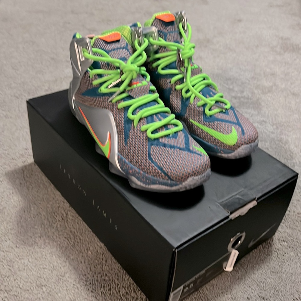 Nike Lebron XII PRM never worn